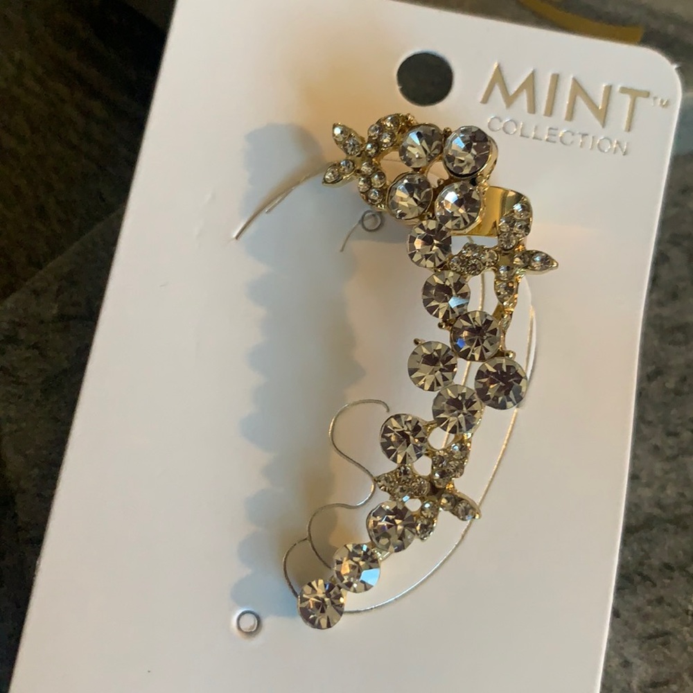 Fashion jewelry- earring.